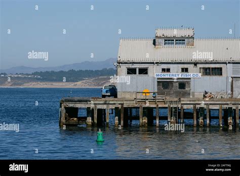 monterey fish|Monterey .